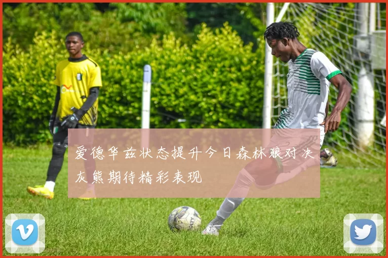 爱德华兹状态提升今日森林狼对决灰熊期待精彩表现