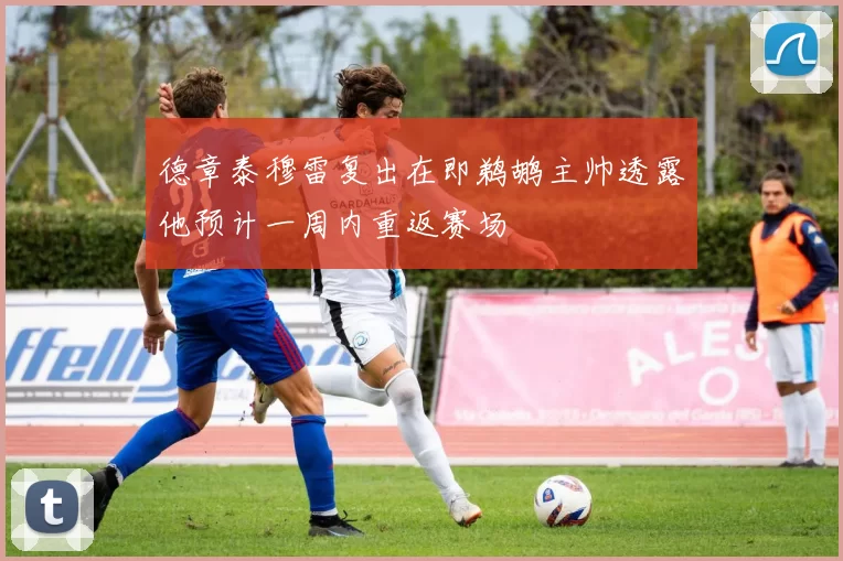 德章泰穆雷复出在即鹈鹕主帅透露他预计一周内重返赛场