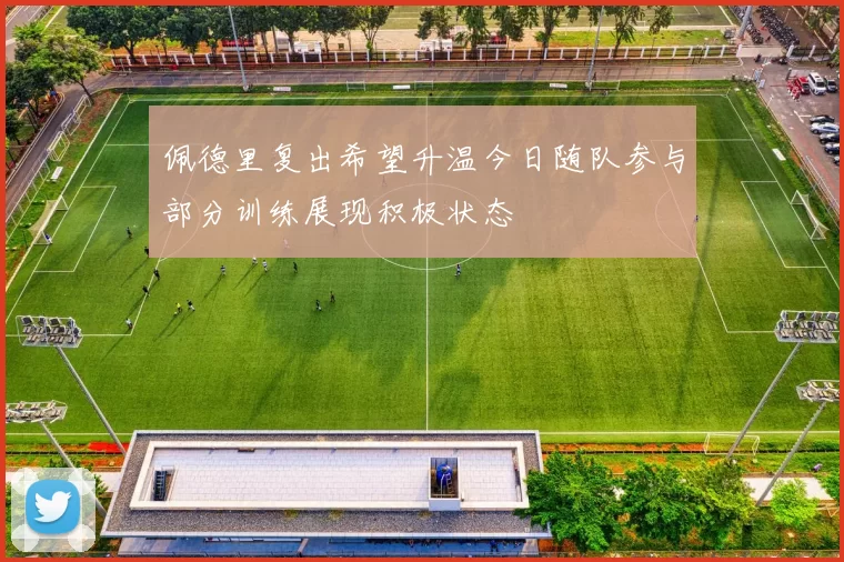 佩德里复出希望升温今日随队参与部分训练展现积极状态