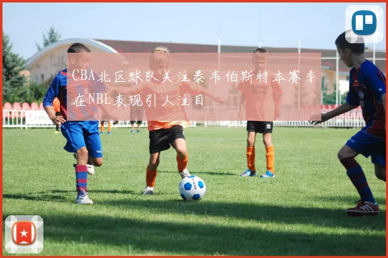 CBA北区球队关注泰韦伯斯特本赛季在NBL表现引人注目